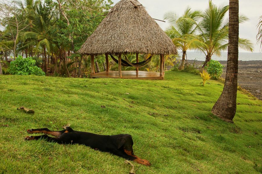 Click to See Next Image