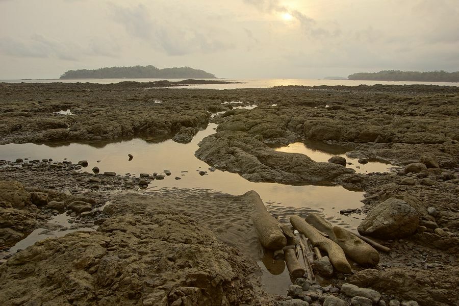 Click to See Next Image