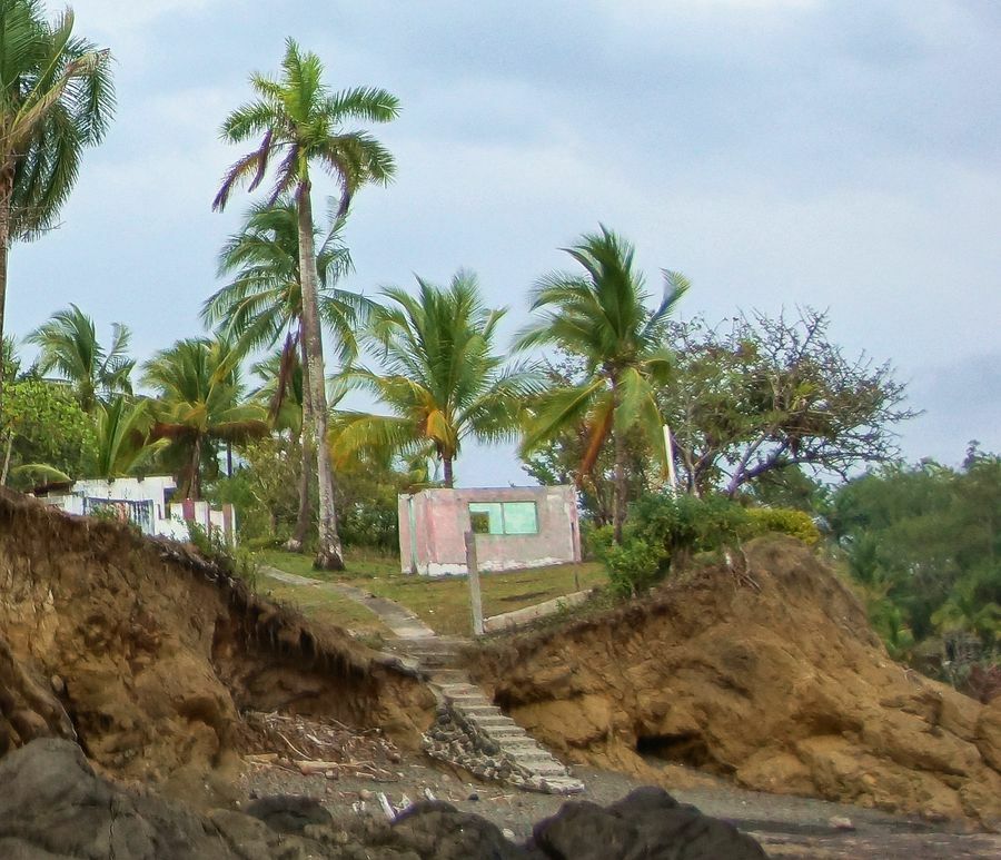 Click to See Next Image