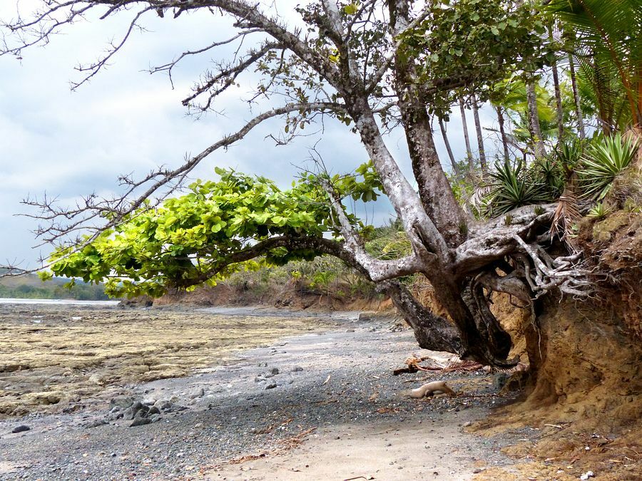 Click to See Next Image