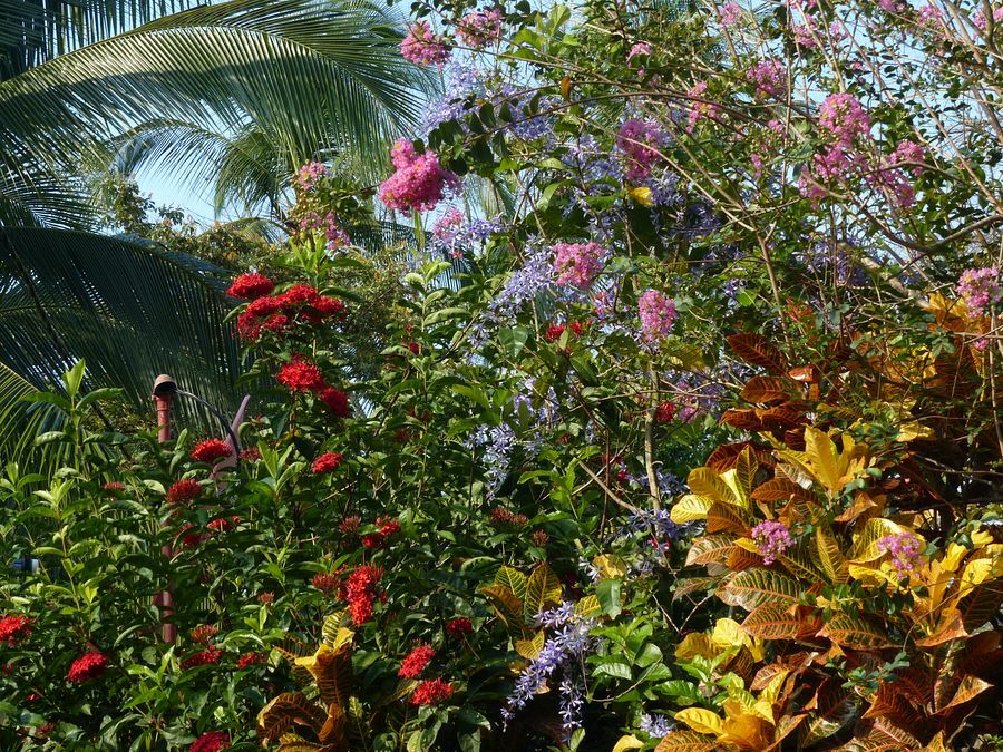 Click to See Next Image