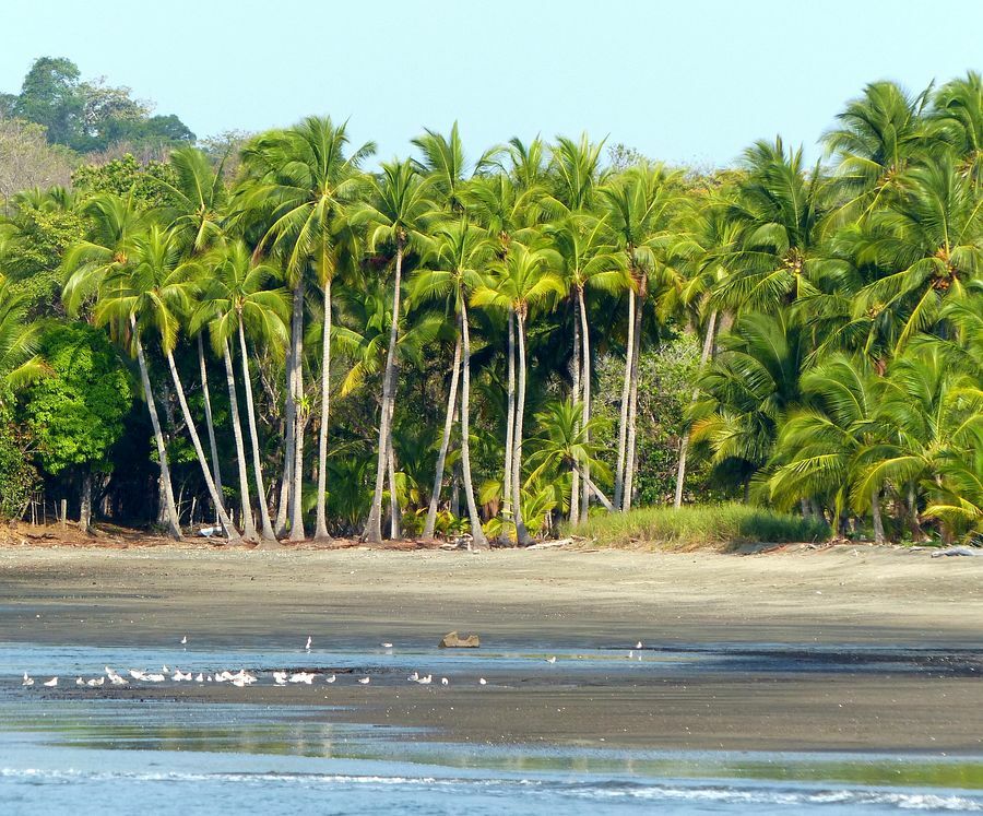 Click to See Next Image