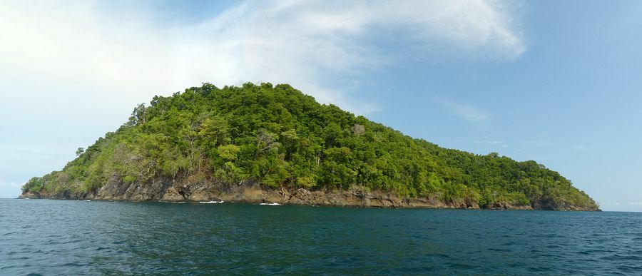 Click to See Next Image