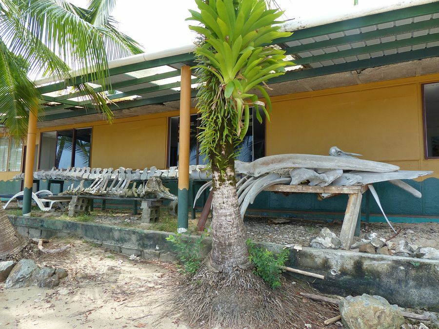 Click to See Next Image