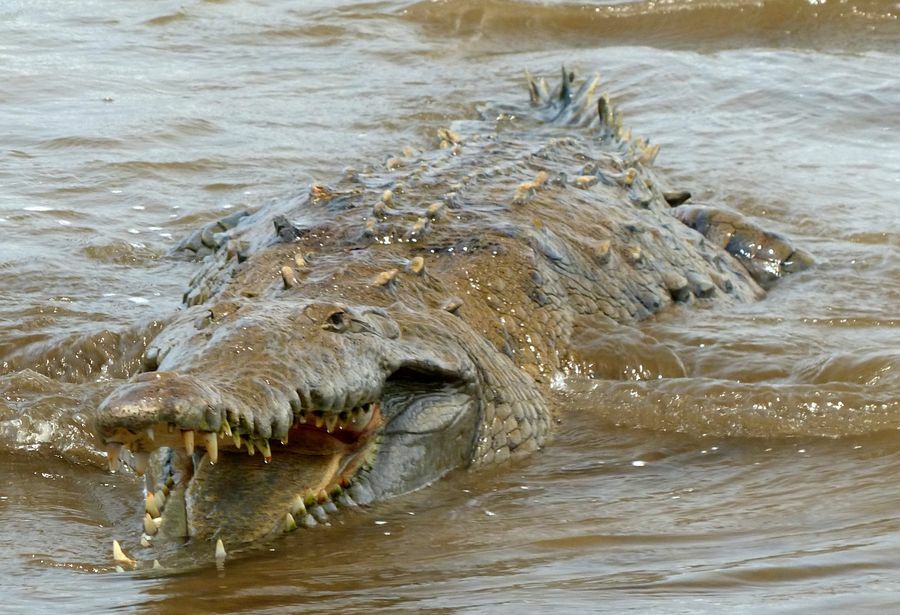 Click to See Next Image