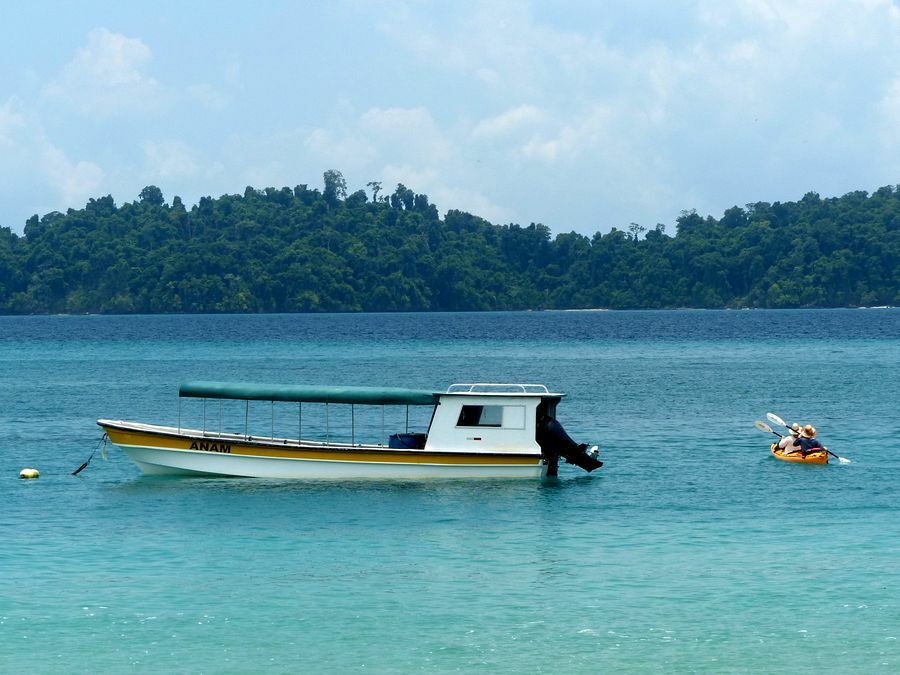 Click to See Next Image