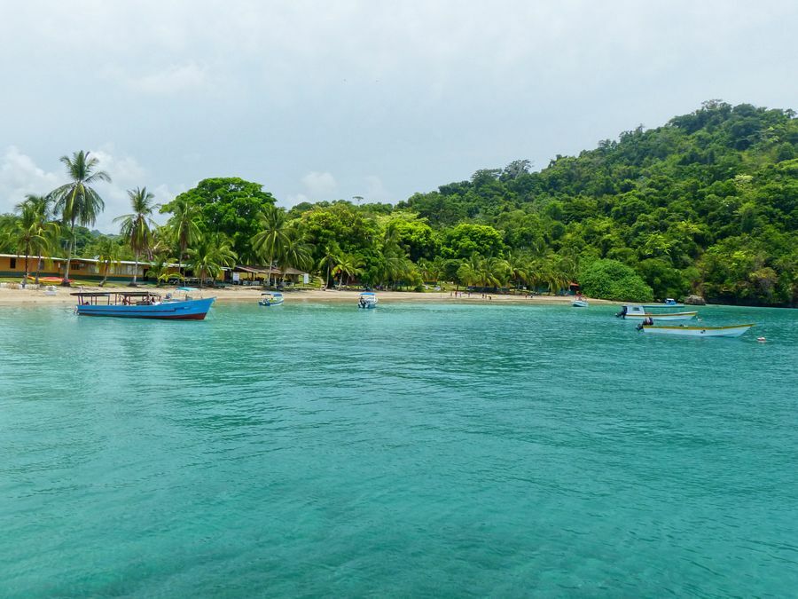 Click to See Next Image