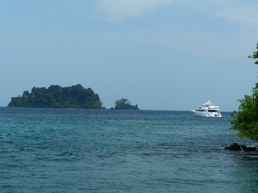 Click to See Next Image