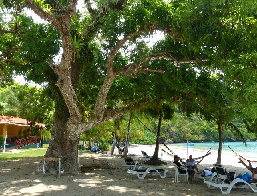 Click to See Next Image