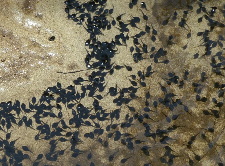 Click to See Next Image