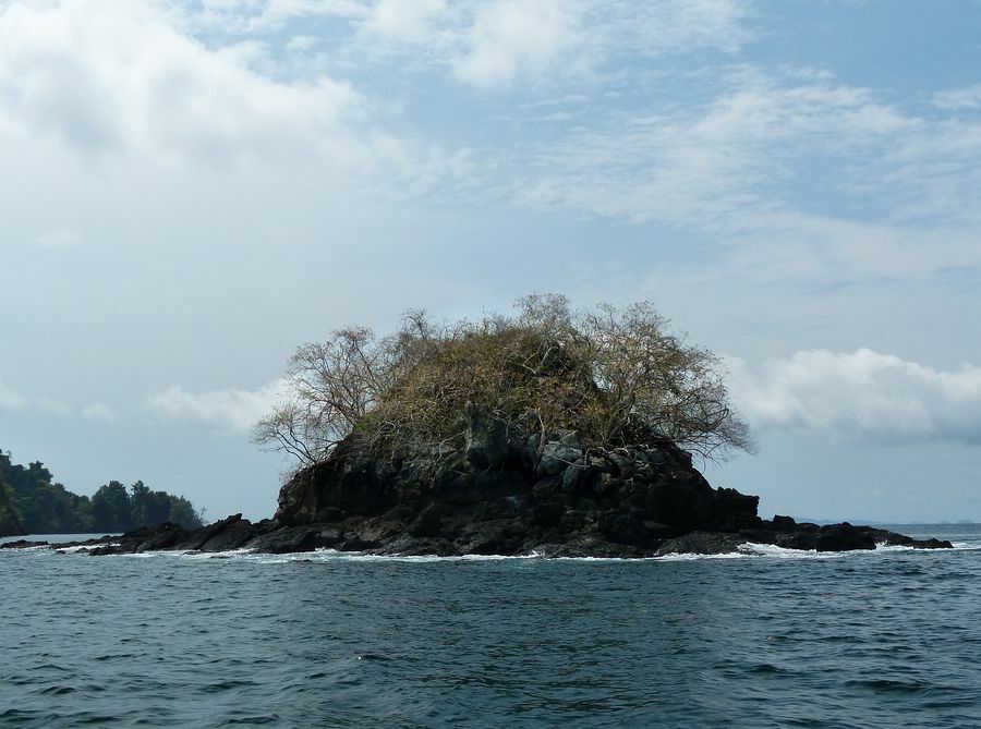 Click to See Next Image