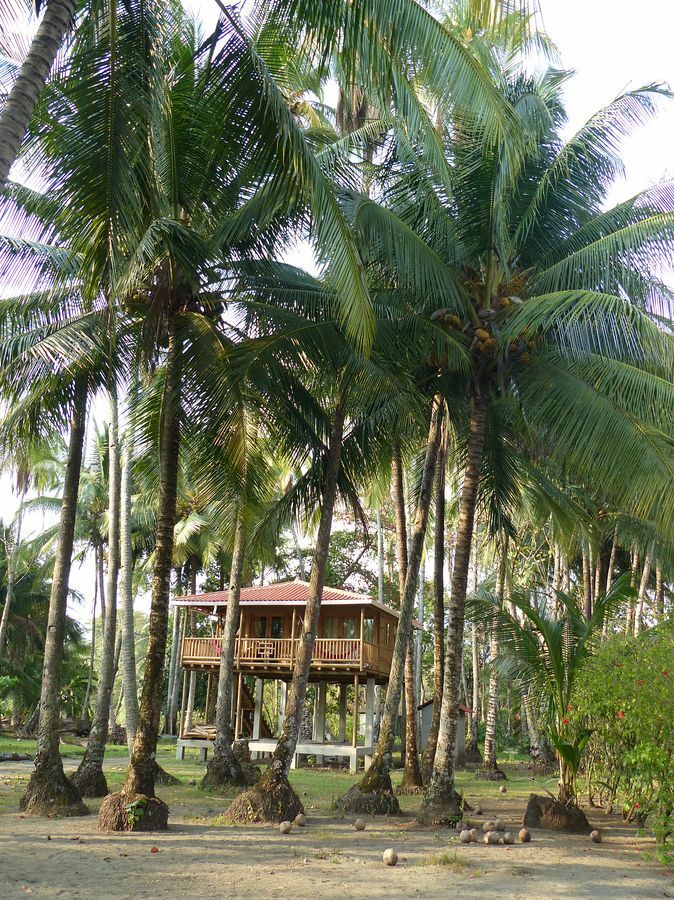 Click to See Next Image