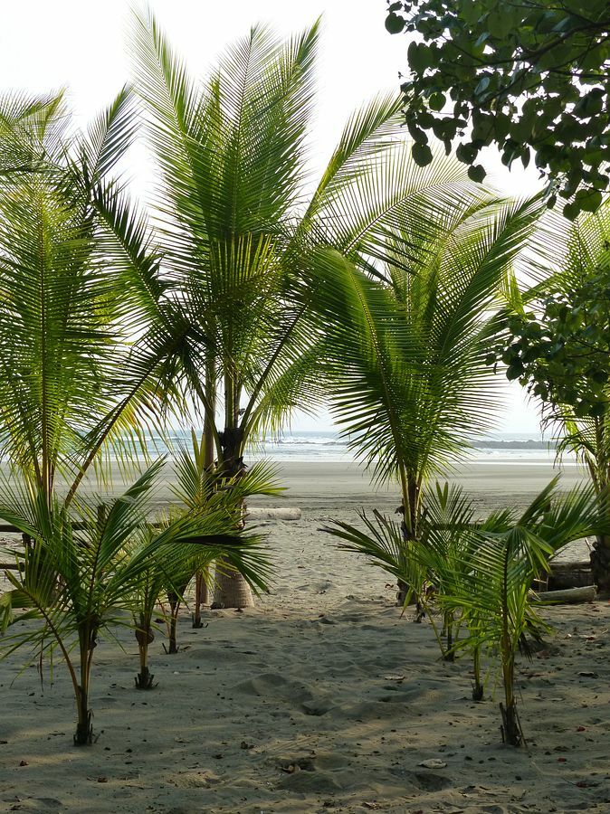 Click to See Next Image