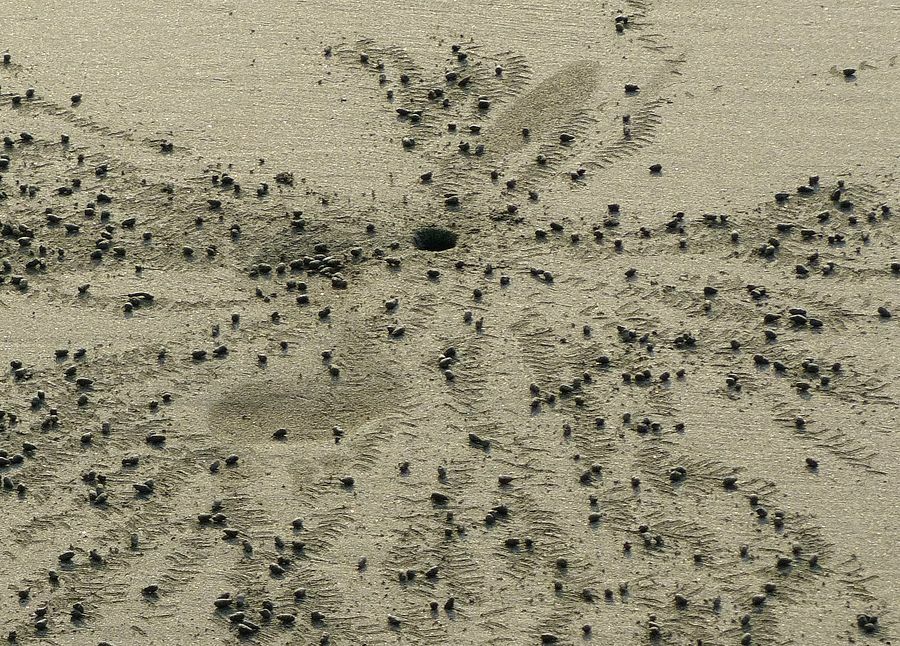 Click to See Next Image