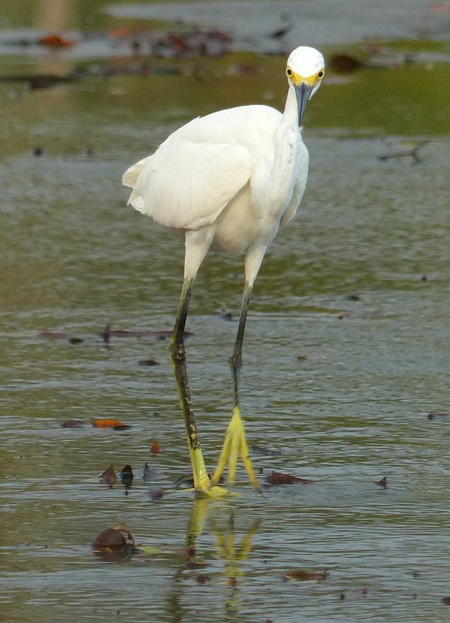 Click to See Next Image