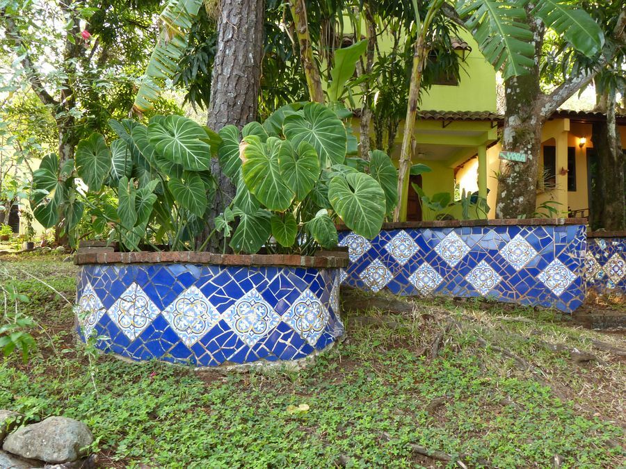 Click to See Next Image