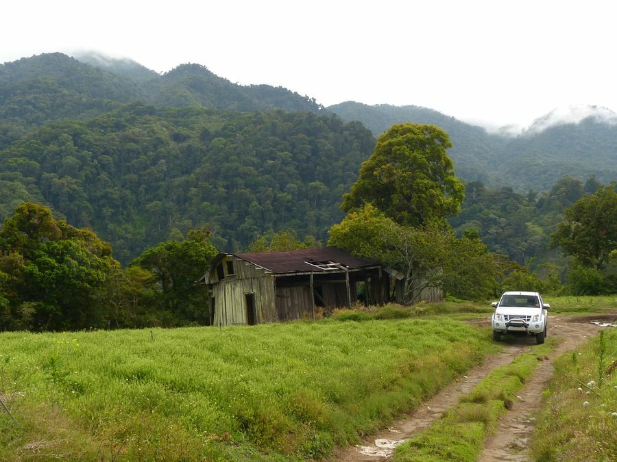 Click to See Next Image