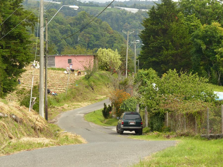 Click to See Next Image