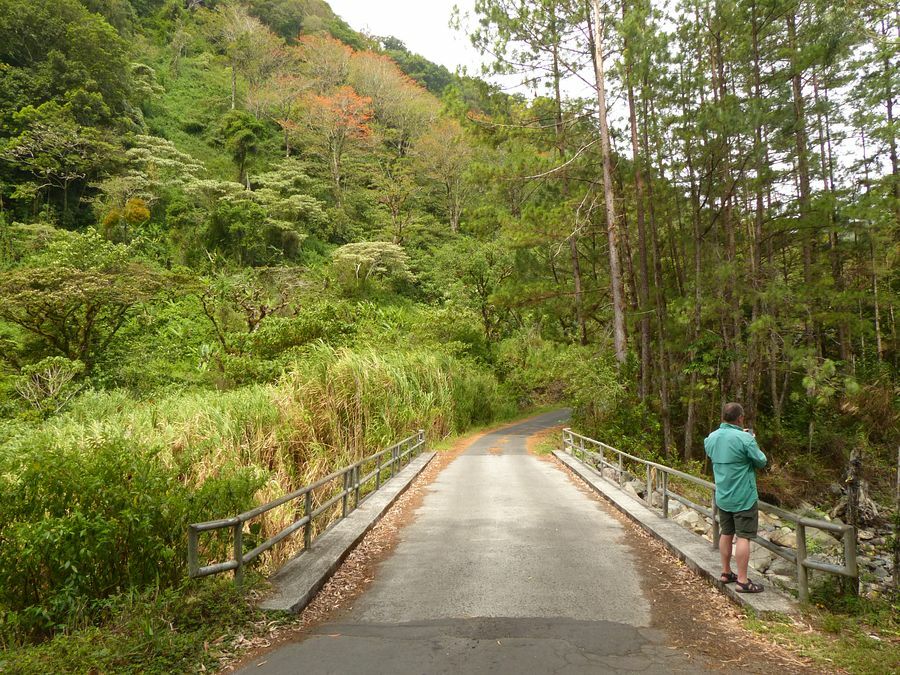 Click to See Next Image