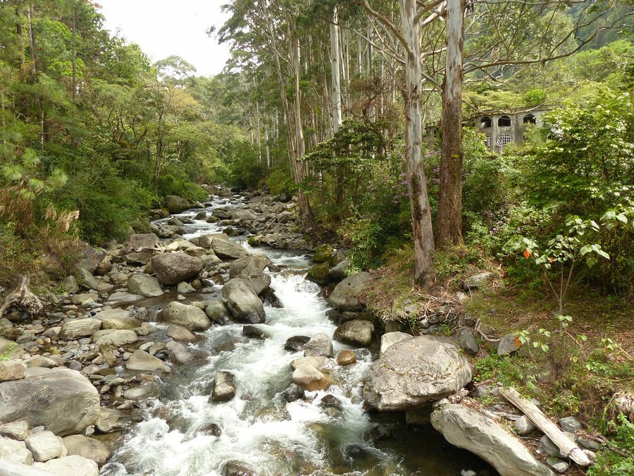 Click to See Next Image