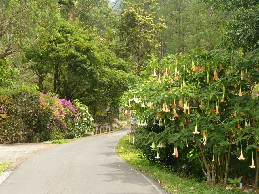 Click to See Next Image