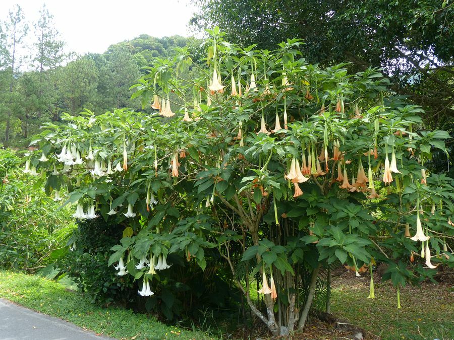 Click to See Next Image