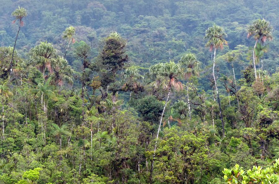 Click to See Next Image