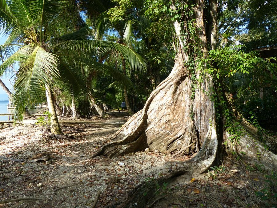 Click to See Next Image