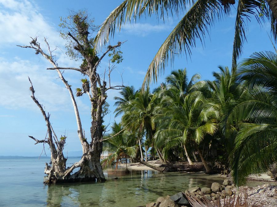 Click to See Next Image