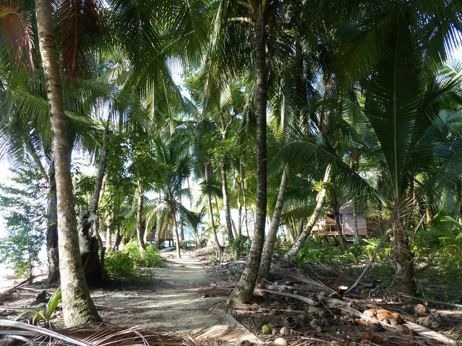 Click to See Next Image