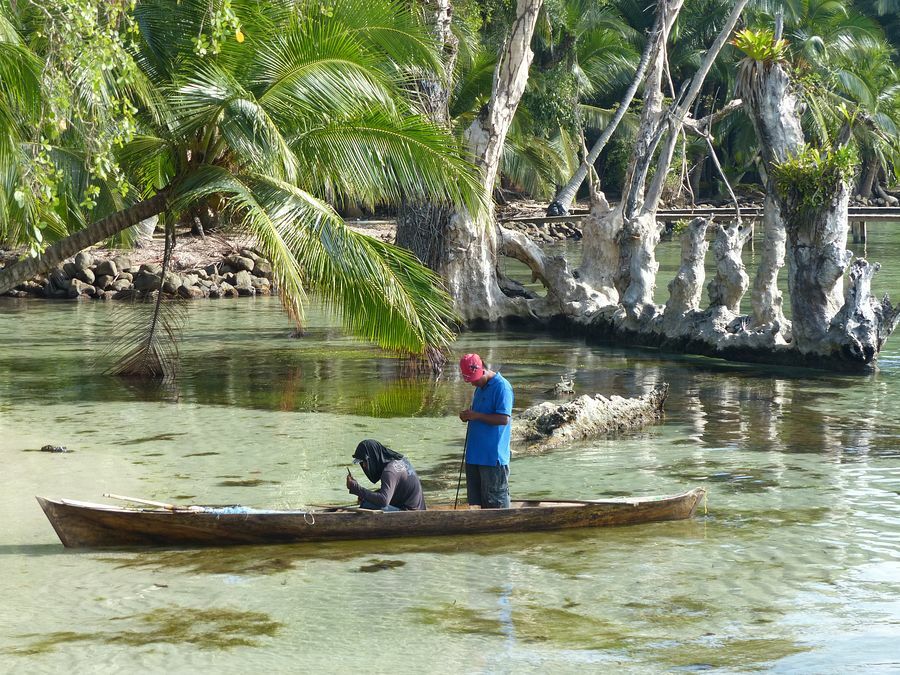 Click to See Next Image