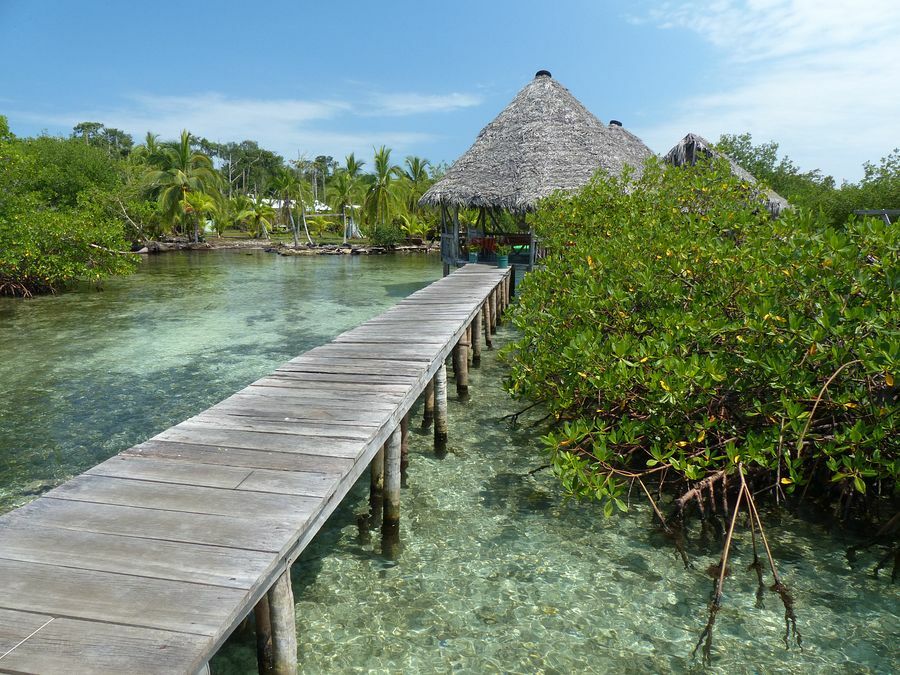 Click to See Next Image