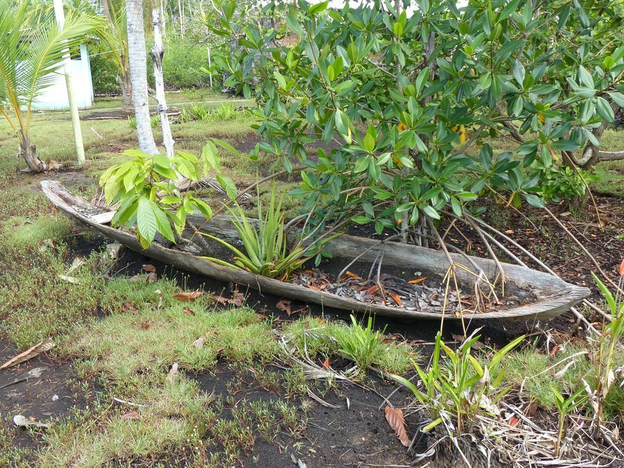 Click to See Next Image