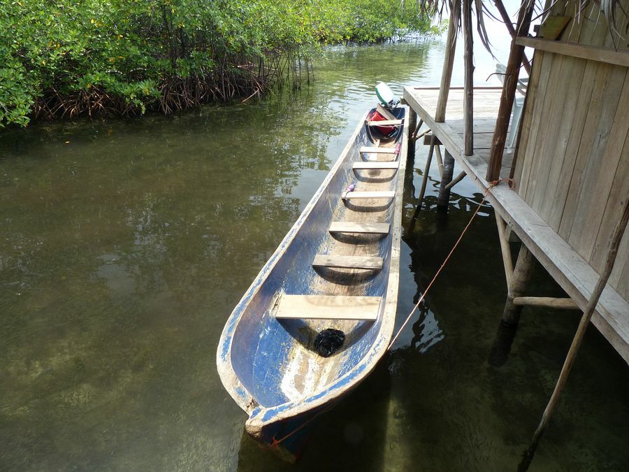 Click to See Next Image