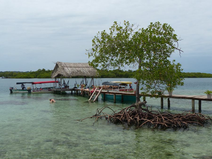 Click to See Next Image