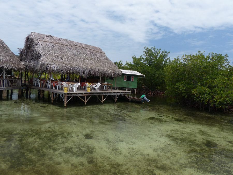 Click to See Next Image