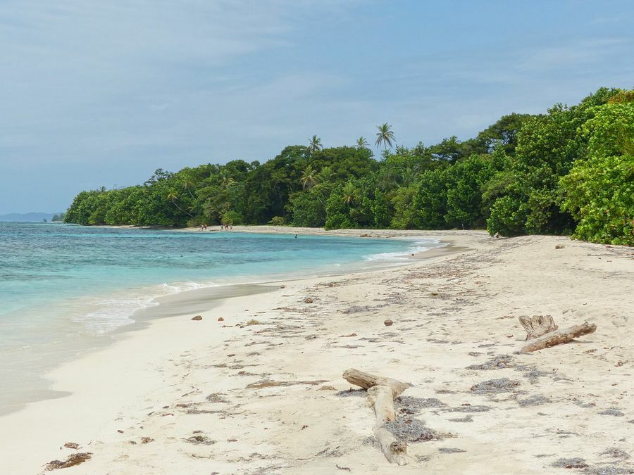 Click to See Next Image