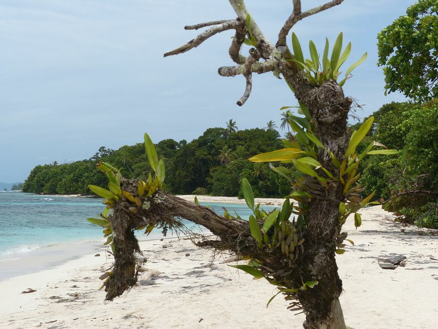 Click to See Next Image