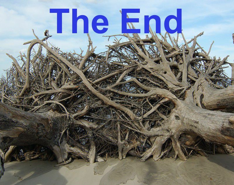 Click to See Next Image