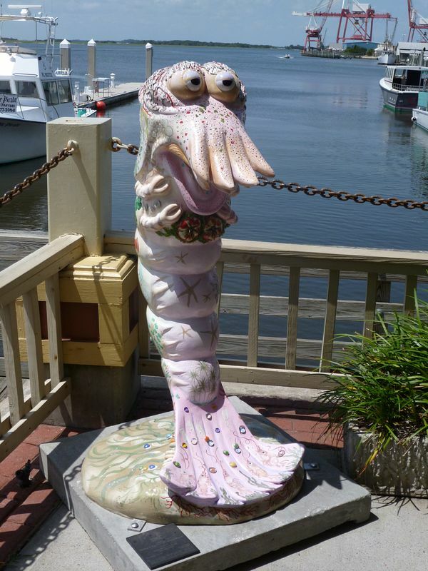 Click to See Next Image