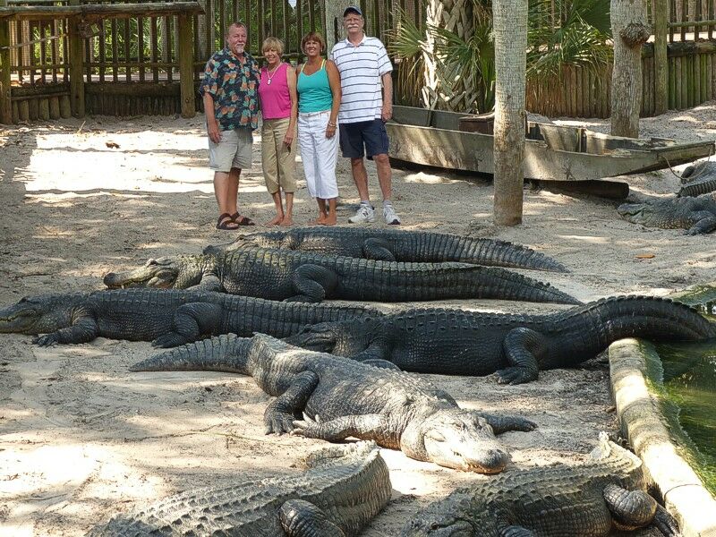 Click to See Next Image