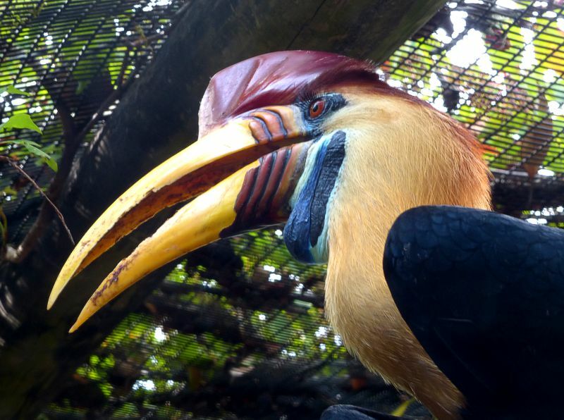 Click to See Next Image