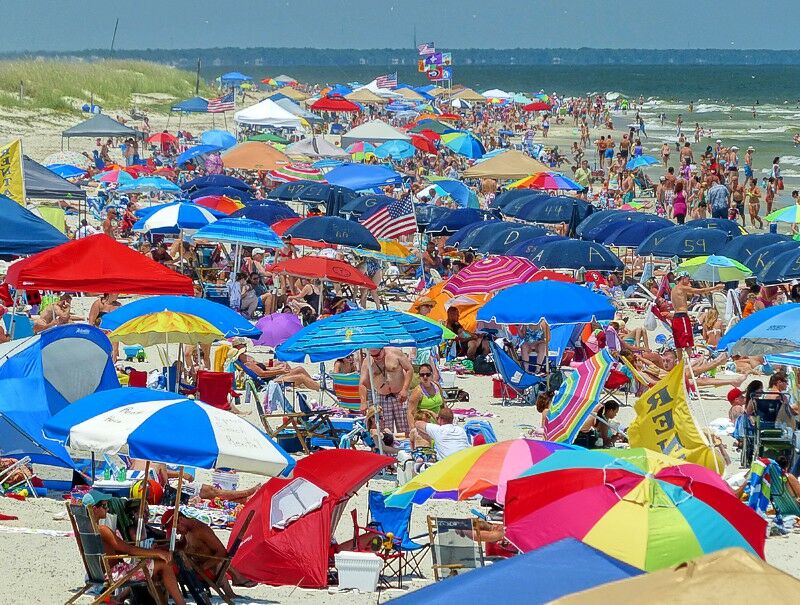 Click to See Next Image