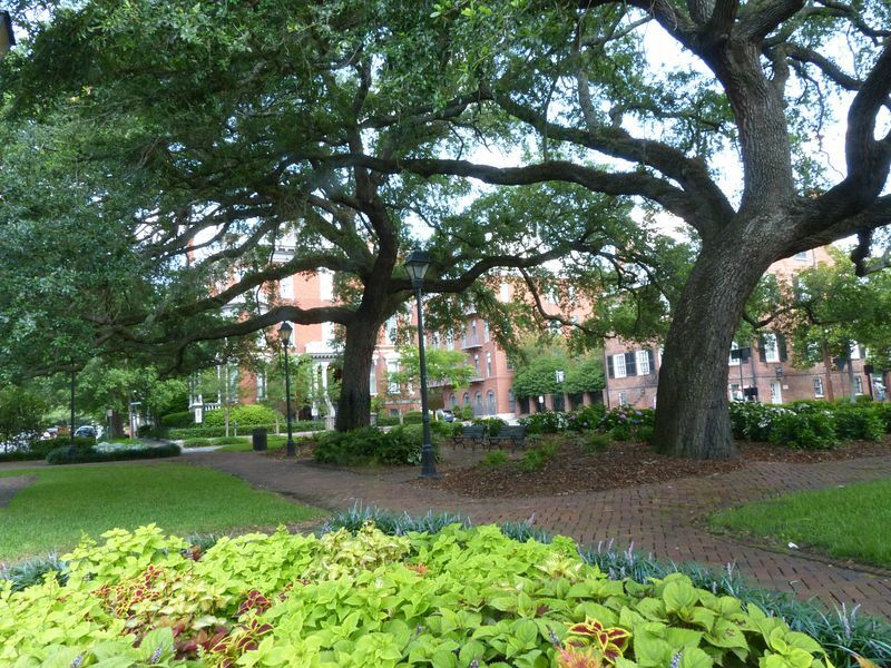 Click to See Next Image