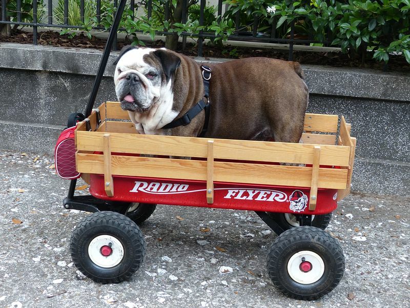 Click to See Next Image