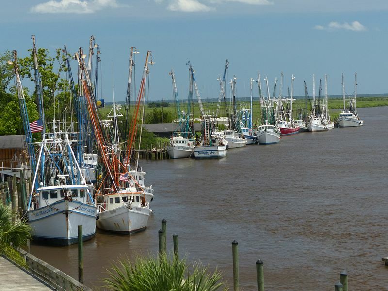 Click to See Next Image