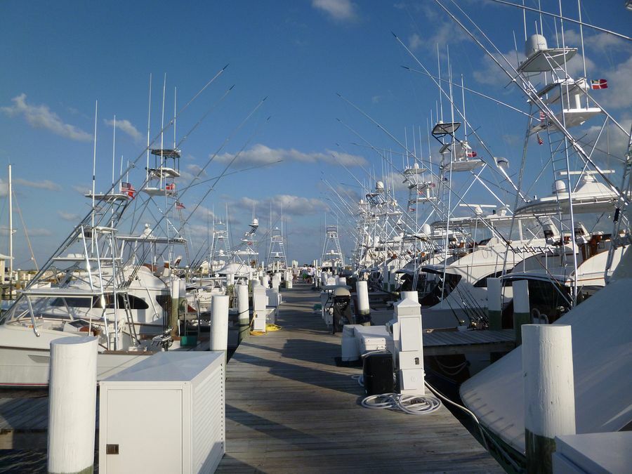 Click to See Next Image