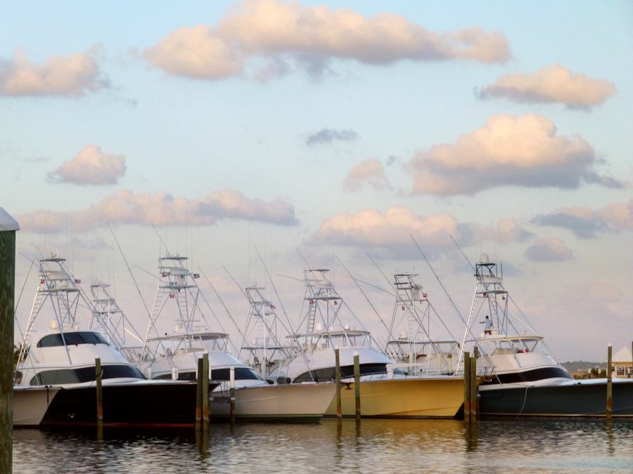 Click to See Next Image