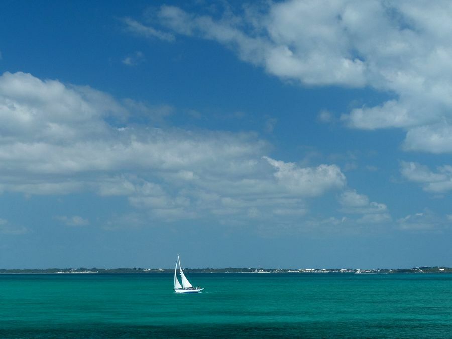 Click to See Next Image