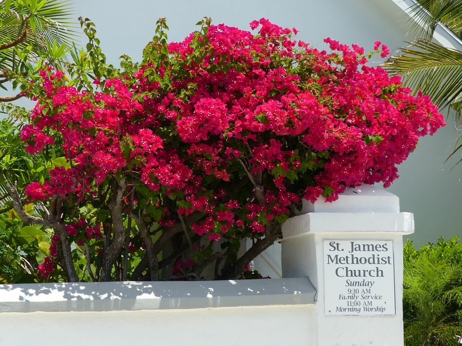 Click to See Next Image